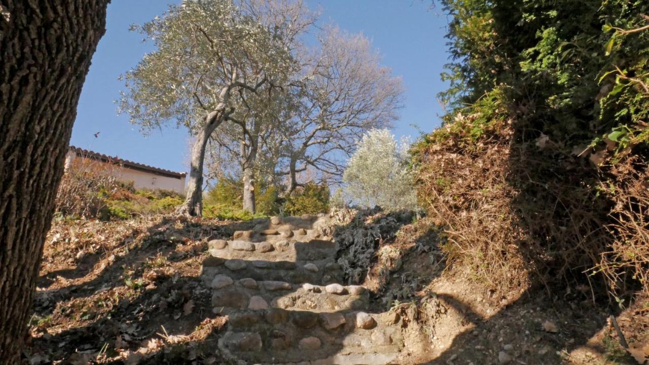 Les Chambres D Hotes De Valensole Au Pays Des Lavandes Et Proche Des Gorges Du Verdon Exterior foto